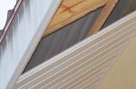 rated Camas Luinie soffit repair companies